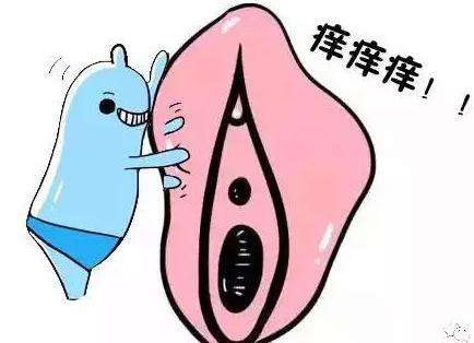 海極星?是如何治療外陰白斑的？
