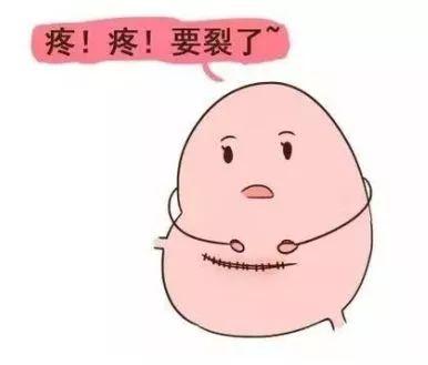 此外卵巢功能、激素代謝均受高級神經中樞的控制調節
