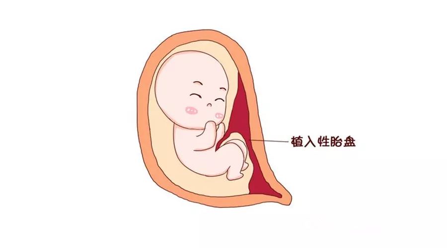 此外卵巢功能、激素代謝均受高級神經中樞的控制調節