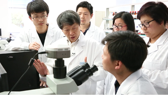 深耕聚焦超聲治療領域34年 王智彪教授獲美國聚焦超聲基金會首屆“臨床應用獎”